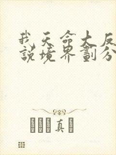 我天命大反派小说境界划分