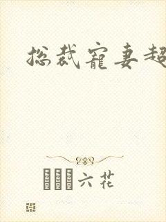 总裁宠妻超给力