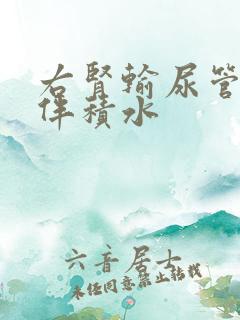 右肾输尿管结石伴积水