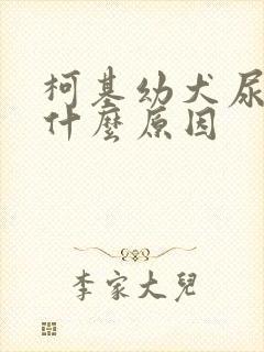 柯基幼犬尿黄是什么原因