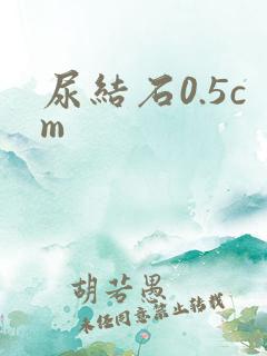 尿结石0.5cm