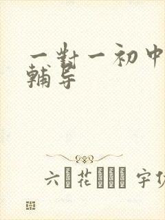 一对一初中冲刺辅导