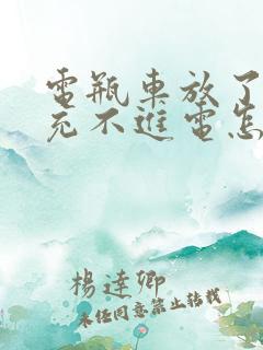 电瓶车放了几天充不进电怎么回事