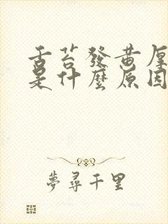 舌苔发黄厚咳嗽是什么原因