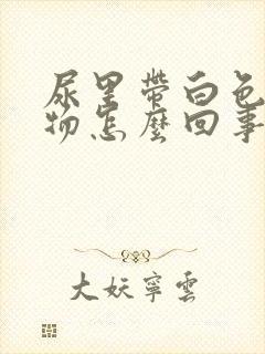 尿里带白色絮状物怎么回事