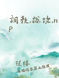 调教,总攻,np