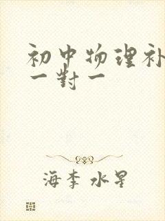 初中物理补习班一对一