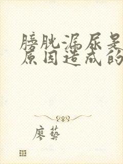 膀胱漏尿是什么原因造成的