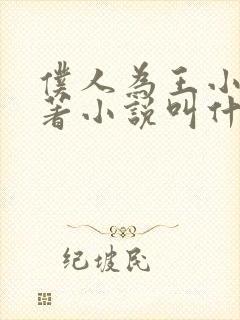 仆人为王小说原著小说叫什么名字