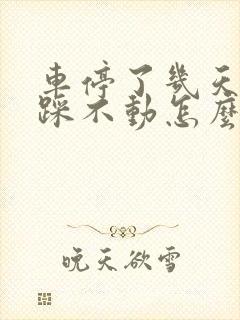 车停了几天刹车踩不动怎么回事