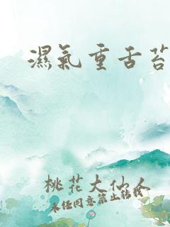 湿气重舌苔白黄