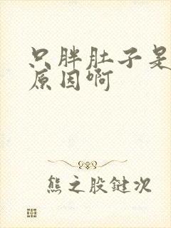 只胖肚子是什么原因啊