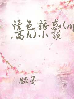 情色诱惑(np,高h)小说