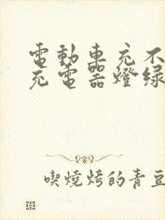 电动车充不上电充电器灯绿灯常亮