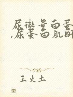 尿微量白蛋白高,尿蛋白肌酐高