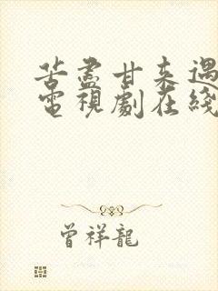 苦尽甘来遇见你电视剧在线观看免费高清