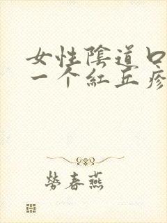 女性阴道口起了一个红丘疹