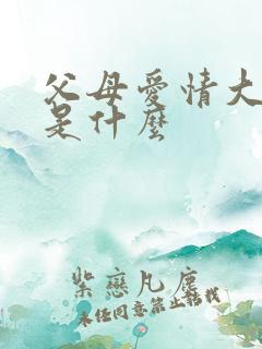 父母爱情大结局是什么