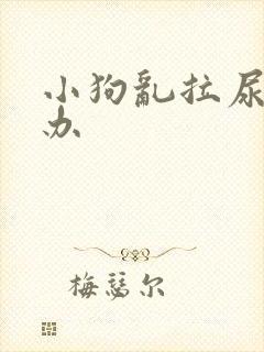 小狗乱拉尿怎么办