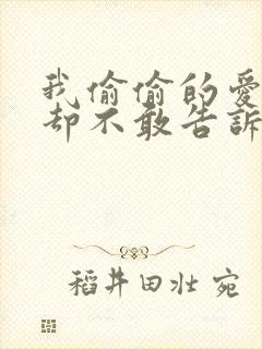 我偷偷的爱上你却不敢告诉你歌词