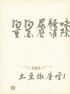 狗狗尿骚味道很重怎么消除小妙招