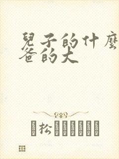 儿子的什么比爸爸的大