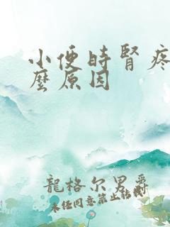 小便时肾疼是什么原因