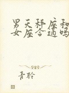 男天秤座和女处女座合适吗