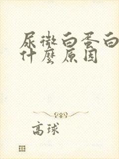 尿微白蛋白高是什么原因