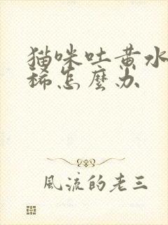 猫咪吐黄水还拉稀怎么办