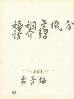 婚姻危机分集剧情介绍