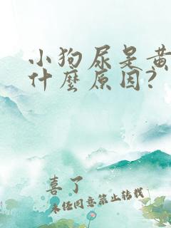 小狗尿是黄的是什么原因?