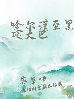 哈尔滨至黑河长途大巴