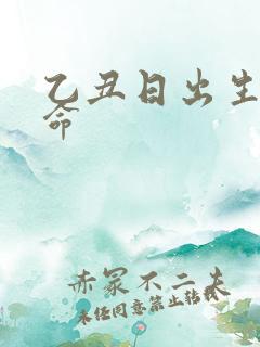 乙丑日出生的男命