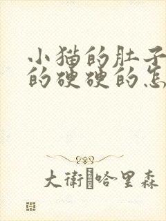 小猫的肚子鼓鼓的硬硬的怎么回事