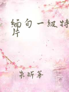 缅甸一级特黄大片