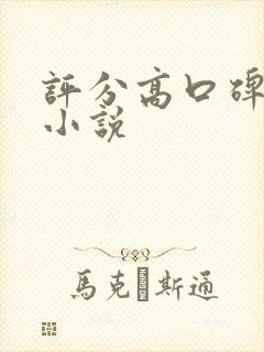 评分高口碑好的小说