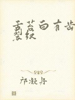 舌苔白有齿痕有裂纹