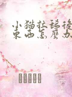 小猫拉稀后不吃东西怎么办