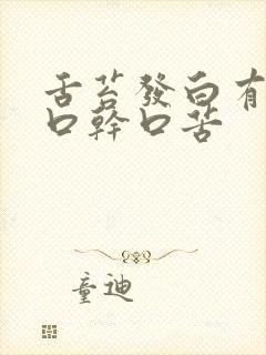 舌苔发白有齿痕口干口苦