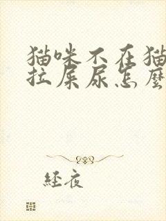 猫咪不在猫砂盆拉屎尿怎么办