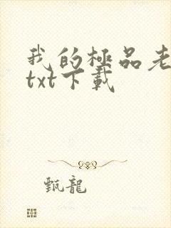 我的极品老婆 txt下载