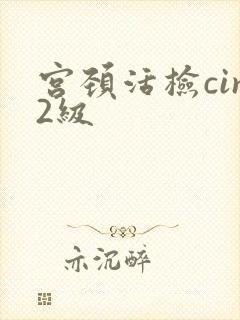 宫颈活检cin2级