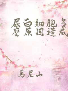 尿白细胞多是什么原因造成的