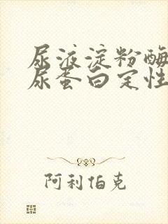 尿液淀粉酶升高尿蛋白定性阳性是