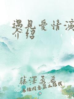 遇见爱情演员表介绍