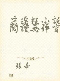 宋瑶枝小说免费阅读无弹窗最新章节