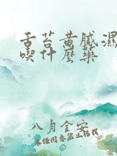 舌苔黄腻湿气重吃什么药