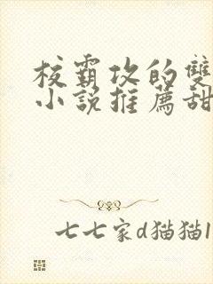 校霸攻的双男主小说推荐甜文