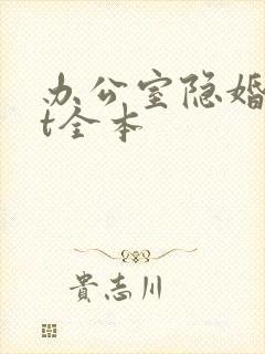 办公室隐婚txt全本